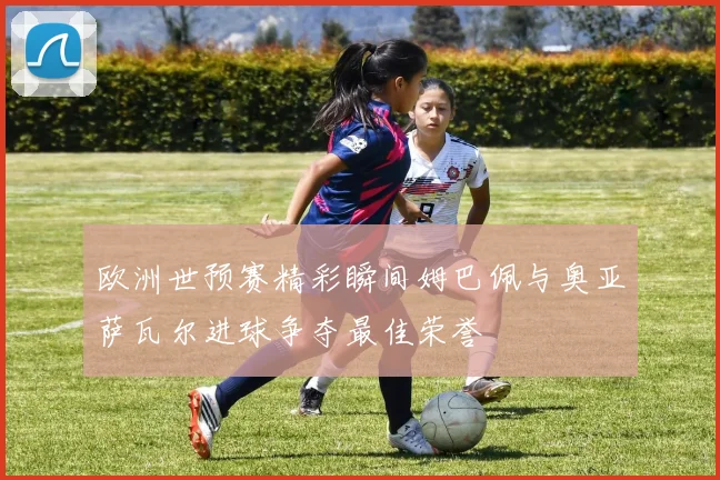 欧洲世预赛精彩瞬间姆巴佩与奥亚萨瓦尔进球争夺最佳荣誉