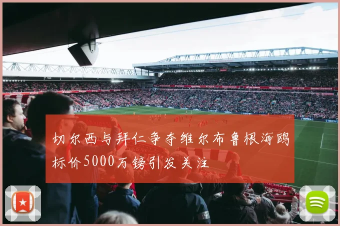 切尔西与拜仁争夺维尔布鲁根海鸥标价5000万镑引发关注