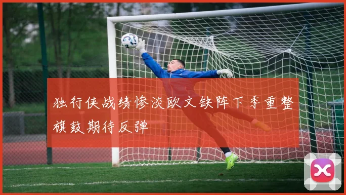 独行侠战绩惨淡欧文缺阵下季重整旗鼓期待反弹